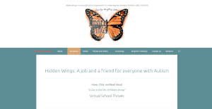 Hidden Wings