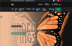 Hidden Wings